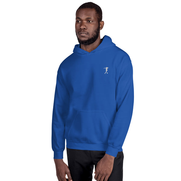 unisex-heavy-blend-hoodie-royal-front-2-66b26aec76a0c_600x600.jpg