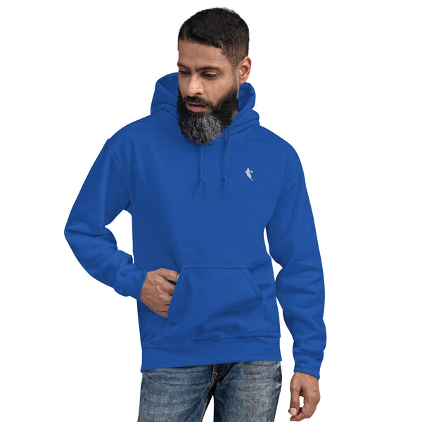 unisex-heavy-blend-hoodie-royal-front-67883fbbd7893_600x600.jpg